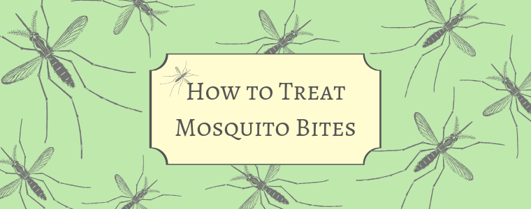 How to treat mosquito bites with Calmoseptine